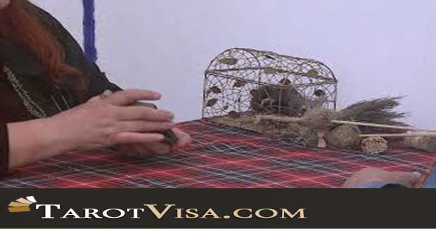 Tirada de Tarot